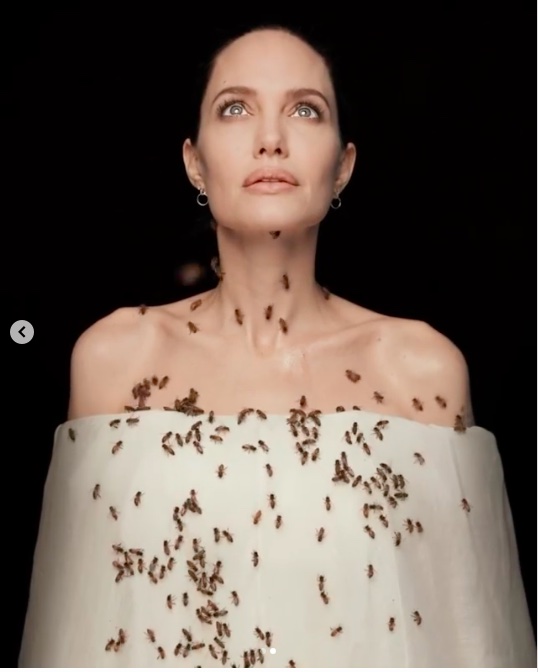 Angelina Jolie, arıcı kadınlara diplomalarını verdi