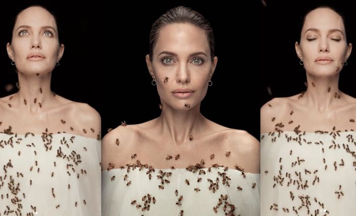 Angelina Jolie, Dünya Arılar Günü’nde yüzlerce arı içinde poz verdi