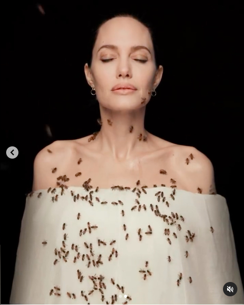 Angelina Jolie, Dünya Arılar Günü'nde yüzlerce arı içinde poz verdi