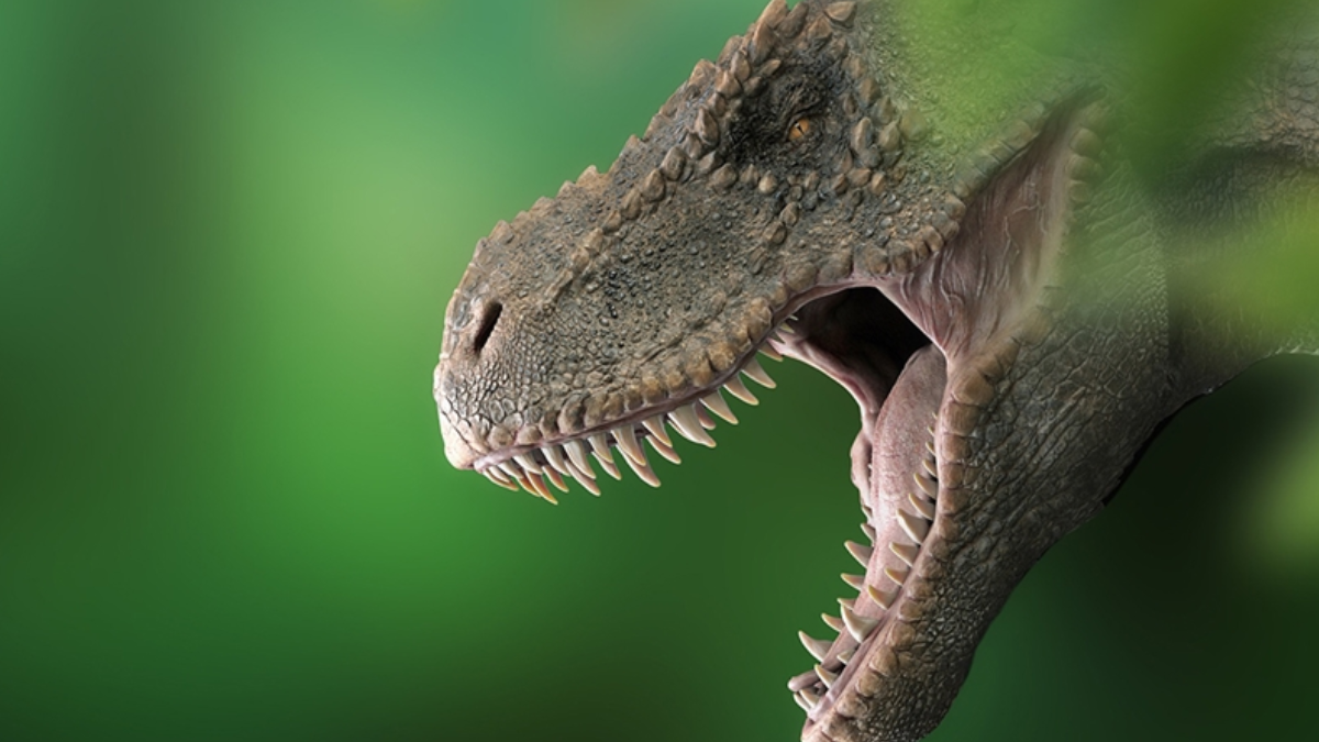 Dinozorların Cinsel Yaşamı: Gizemli Gerçekler