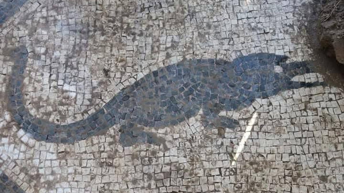 Muğla Milas'ta Antik Roma Hamamı Kazıları ve Timsah Mozaiği
