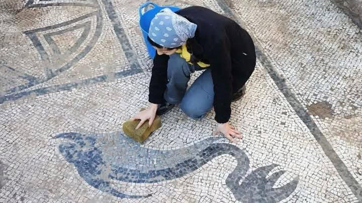 Muğla Milas'ta Antik Roma Hamamı Kazıları ve Timsah Mozaiği