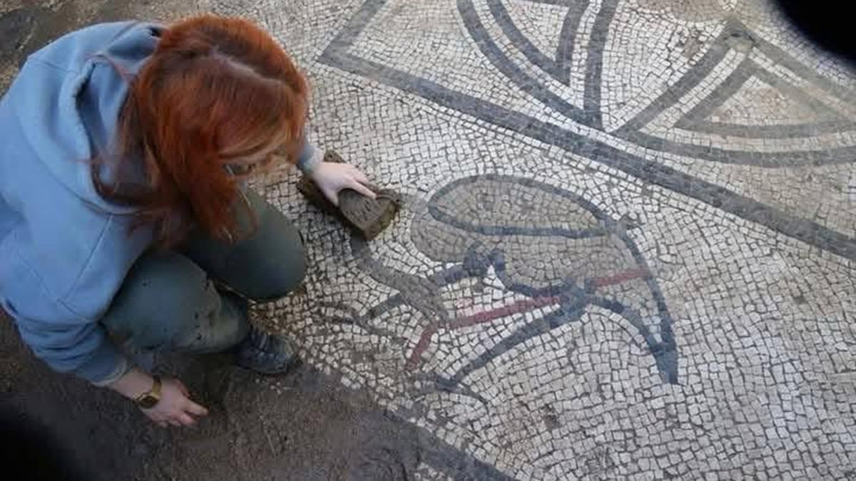 Muğla Milas'ta Antik Roma Hamamı Kazıları ve Timsah Mozaiği