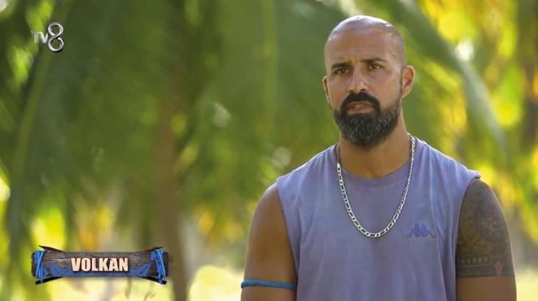 Survivor Gelişmeleri