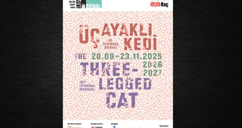 Üç ayaklı kedi