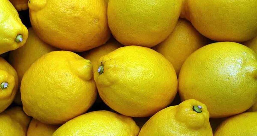 Bakanlık duyurdu: 71 ton limon imha edildi