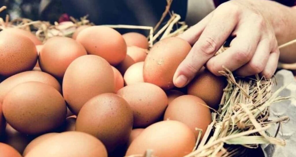 Bu zerzevat bir yumurtadan 3 kat daha fazla protein içeriyor