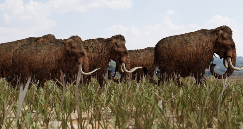 Mamut karışımı yünlü fareler doğdu! DNA’ları değiştirilmişti, dünya şokta