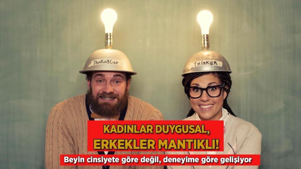Bayanlar duygusal, erkekler mantıklı! Beyin cinsiyete nazaran değil, tecrübeye nazaran gelişiyor