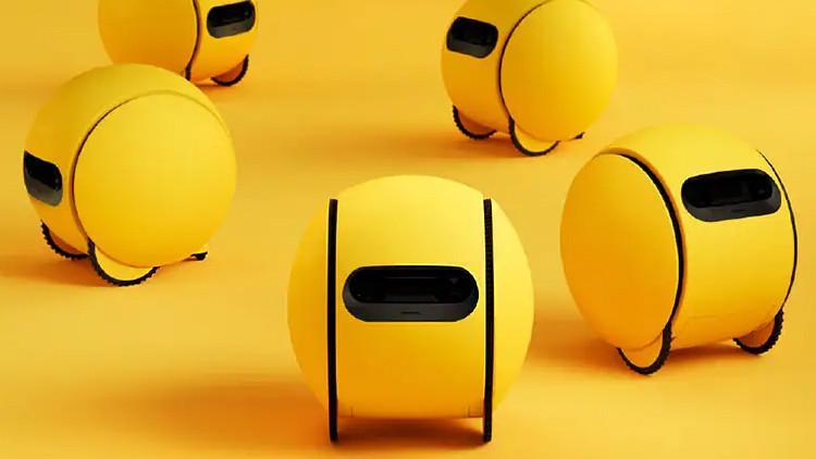 Konutunuz yeni bir robota hazır mı?