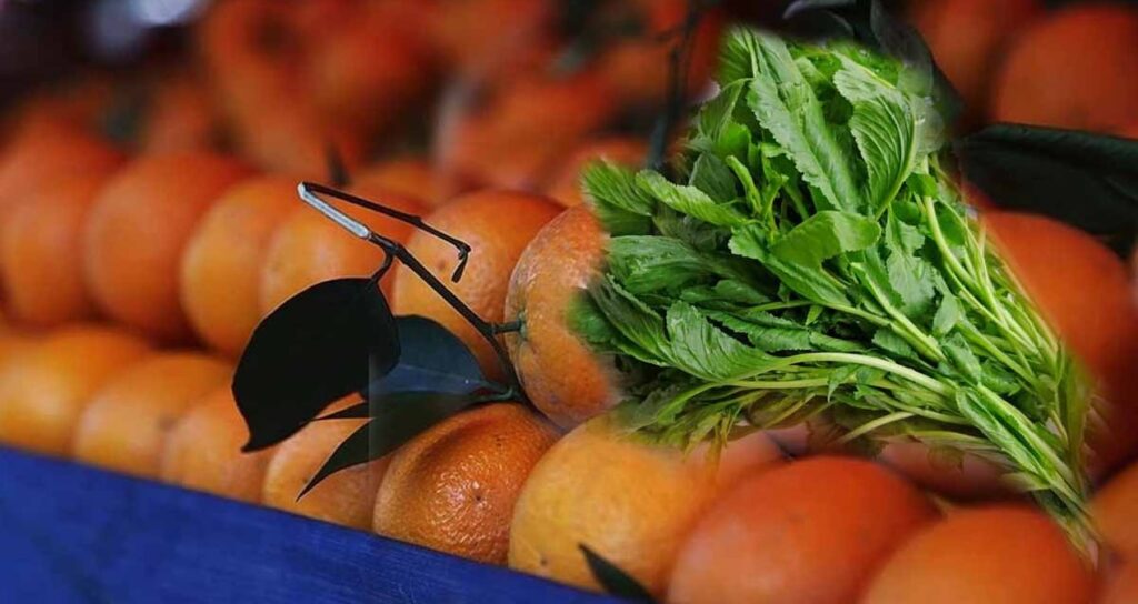 Bu zerzevat, bir portakalın içerdiğinden daha fazla C vitamini içeriyor