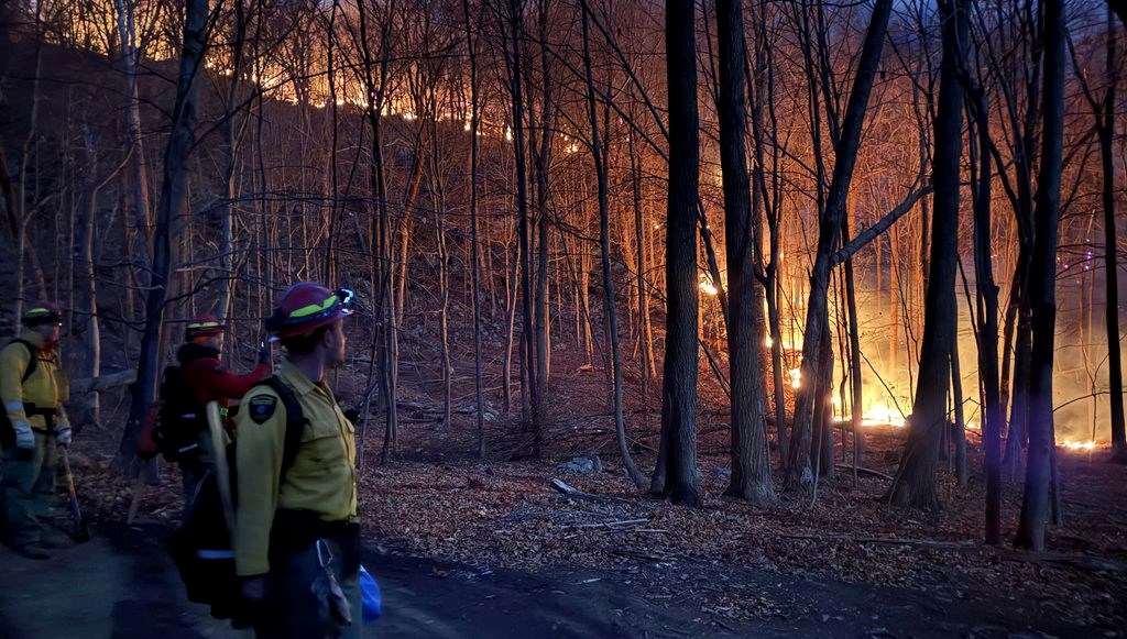 New York ormanlarında yangın alarmı: Acil durum ilan edildi