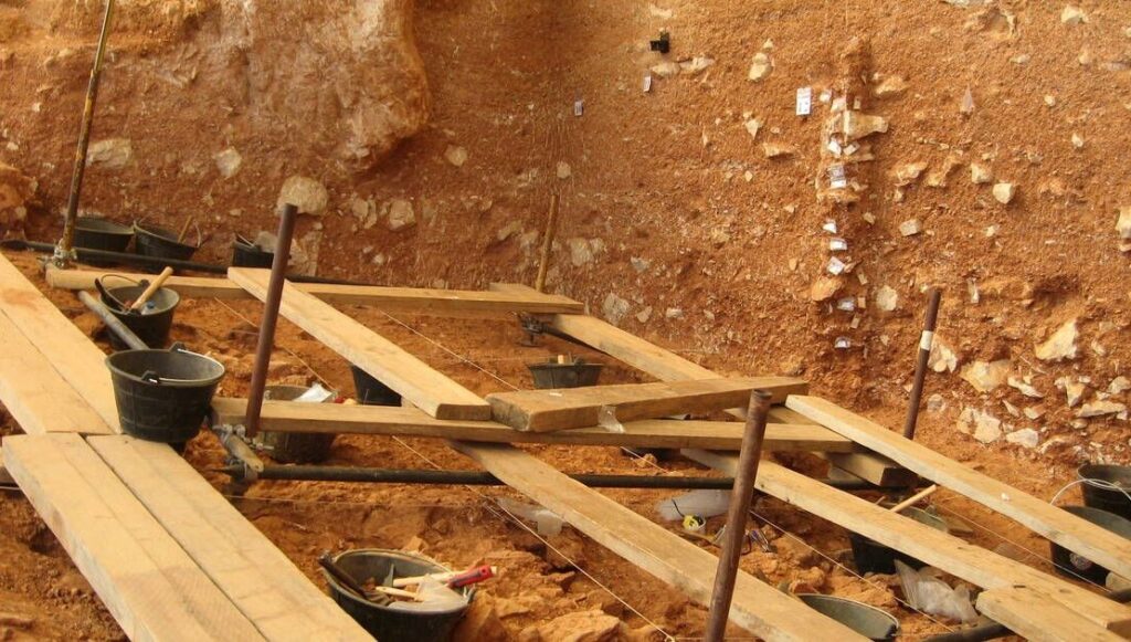1,4 milyon yıllık: Batı Avrupa’daki en eski insan kalıntısı bulundu