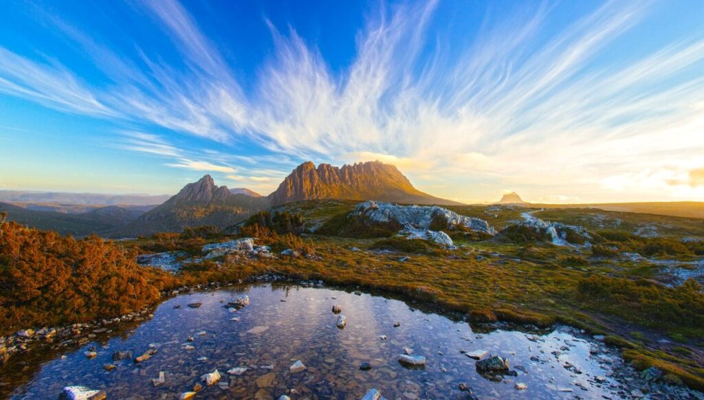 Bilim insanları açıkladı: Tabiat belgeselleri ağrıyı hafifletebilir