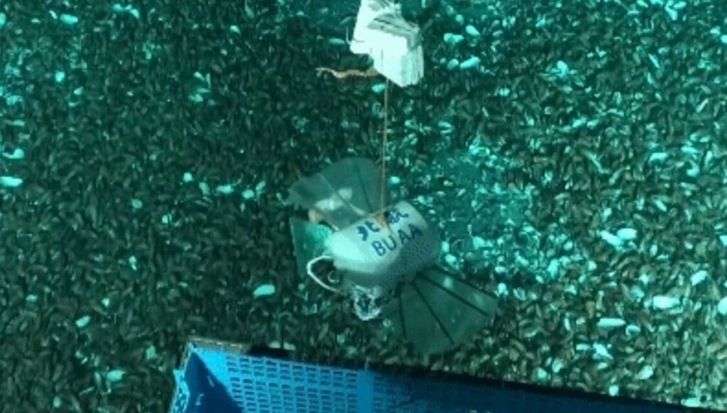 Mariana Çukuru’nda bir robot: Çinli bilim insanlarından yeni atak