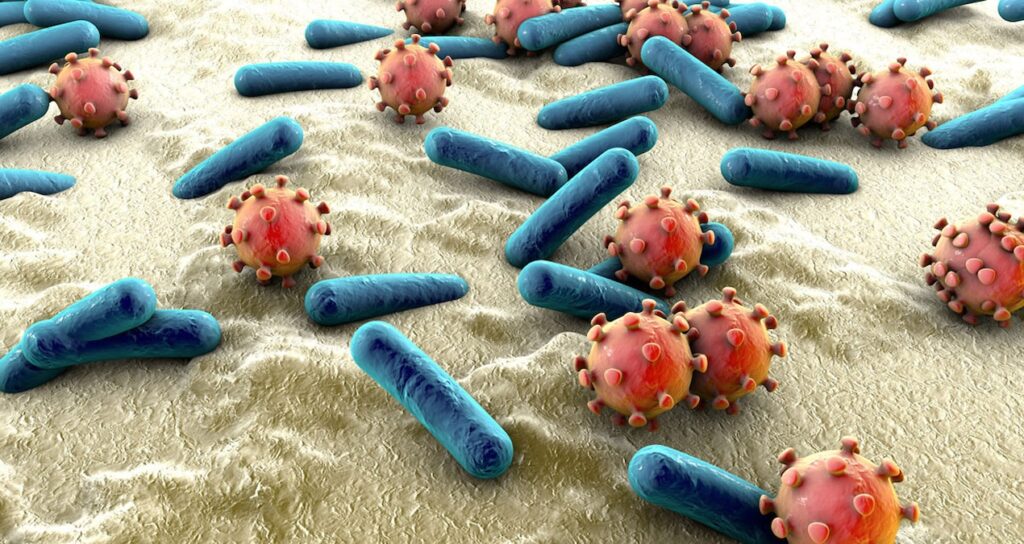 Tehlikeli biçimde yayılan, antibiyotiklere dirençli bakteri keşfedildi